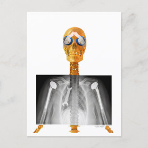 Carte postale adressée à Trump pour Trumpcare