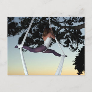Carte Postale Aerial Silks