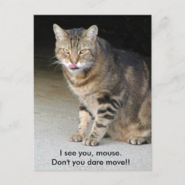 Carte postale affamée de chat