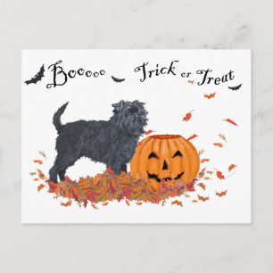 Carte Postale Affenpinscher Halloween