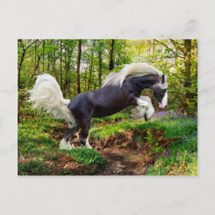 Carte Postale "Affichage"