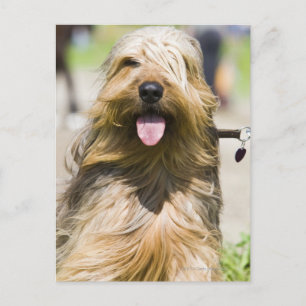 Carte Postale affichage de langue, cheveux longs, portrait