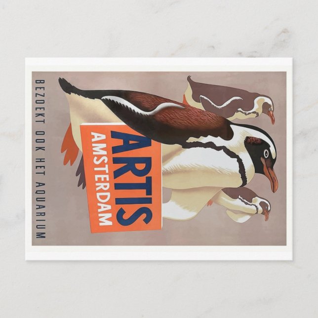 Carte Postale Affiche Artis Zoo Amsterdam Penguins 1947 (Devant)