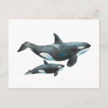 Affiche de baleine orque à l'aquarelle mère et béb