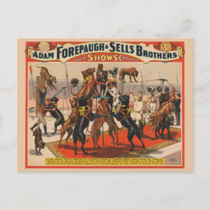 Carte Postale Affiche de cirque de Dogues Allemands avec dresseu