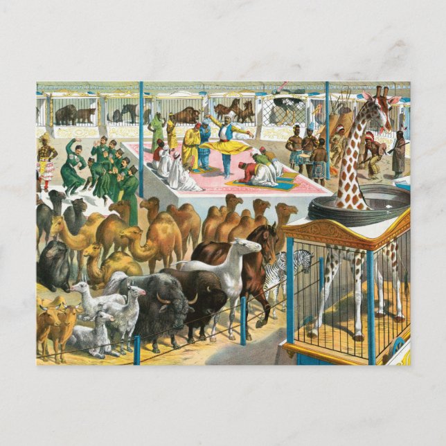 Carte Postale Affiche de cirque de personnes de différentes nati (Devant)