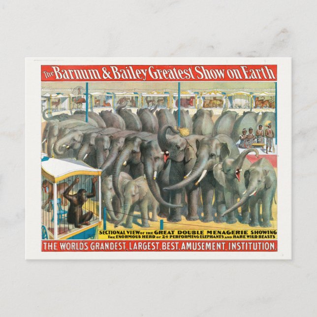 Carte Postale Affiche de cirque d'éléphants et d'animaux en cage (Devant)