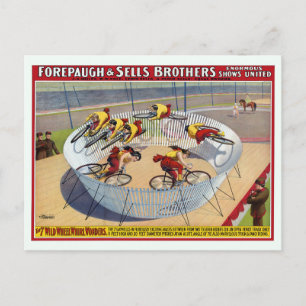 Carte Postale Affiche De Cirque Des Sept Gaynells Vélos D'Équita