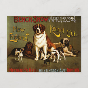 Carte Postale Affiche du club Kennel de la Nouvelle-Angleterre c