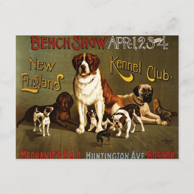 Carte Postale Affiche du club Kennel de la Nouvelle-Angleterre c (Devant)