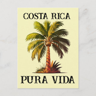 Carte Postale Affiche du palmier pura vida Costa Rica