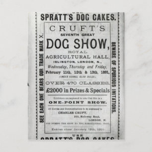 Carte Postale Affiche publicitaire Cruft's Dog Show