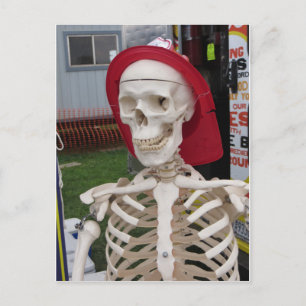 Carte Postale Afficher le squelette