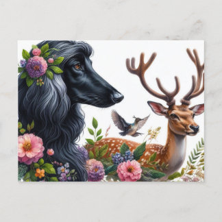 Carte postale Afghan Hound