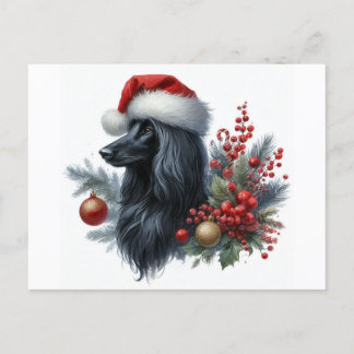 Carte postale Afghan Hound