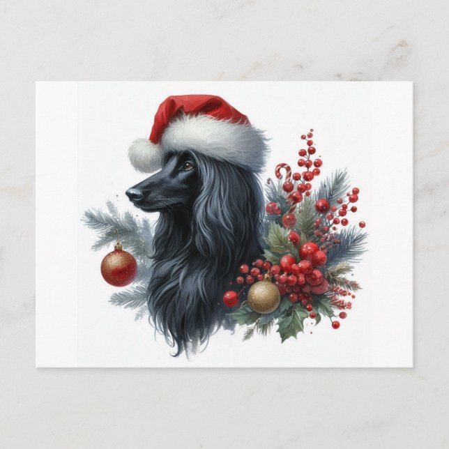 Carte postale Afghan Hound (Devant)