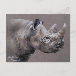Carte postale africaine de dessin de rhinocéros