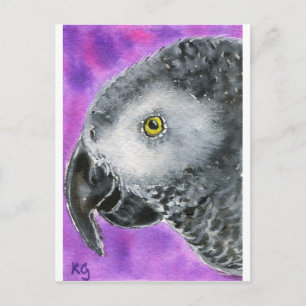 Carte Postale African Grey