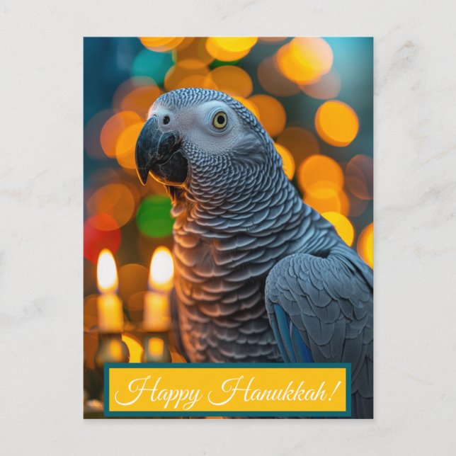 Carte Postale African Grey Parrot Hanukkah Card  (Devant)