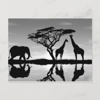 Carte Postale Afrique