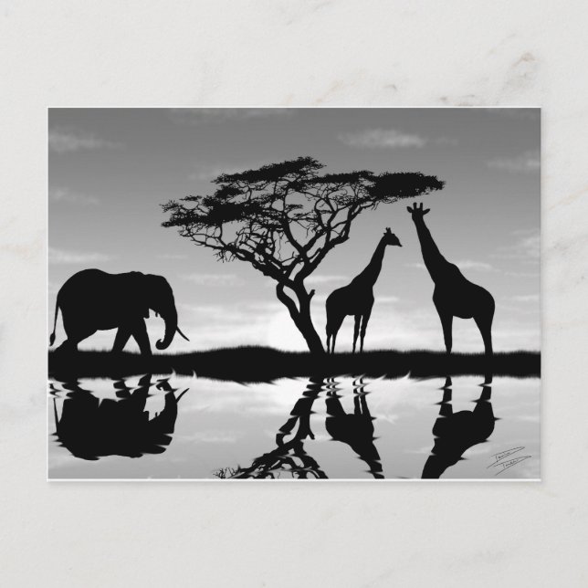 Carte Postale Afrique (Devant)