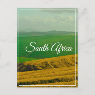 Carte Postale Afrique du Sud Canola Fields Hills Paysage Nature
