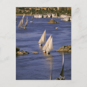 Carte Postale Afrique, Égypte, Haute-Égypte, Assouan. Feluques