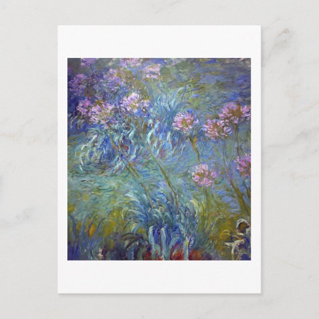 Carte Postale Agapanthus, Monet (Devant)