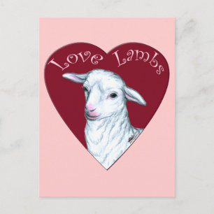 Carte Postale Agneaux d'amour