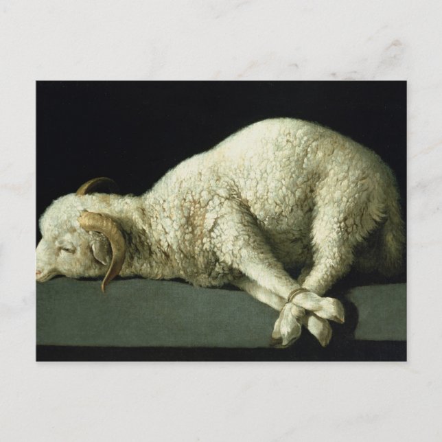 Carte Postale Agnus Dei, c.1635-40 (Devant)