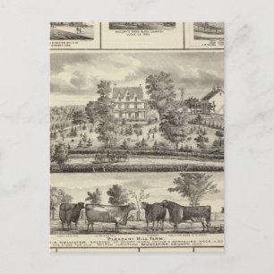 Carte Postale Agréable Hill Farm vagabonds à Decorah