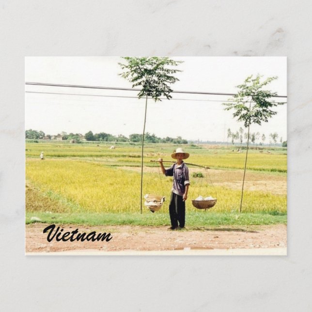Carte Postale agriculteur vietnamien (Devant)