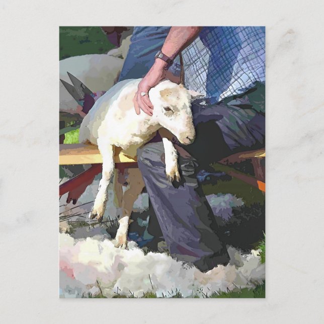 CARTE POSTALE AGRICULTURE (Devant)