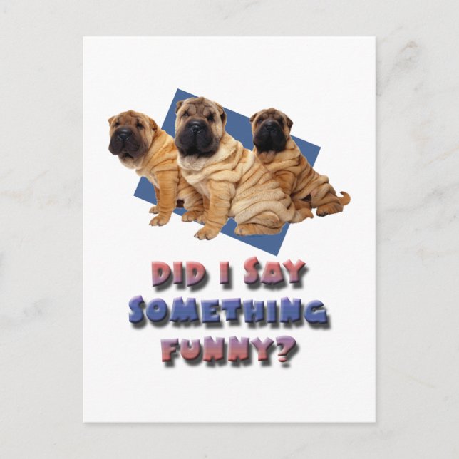 Carte Postale Ai-je dit quelque chose d'amusant (Devant)