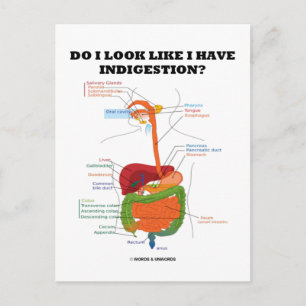 Carte Postale Ai-Je L'Air D'Avoir Une Indigestion ? (Médicale)