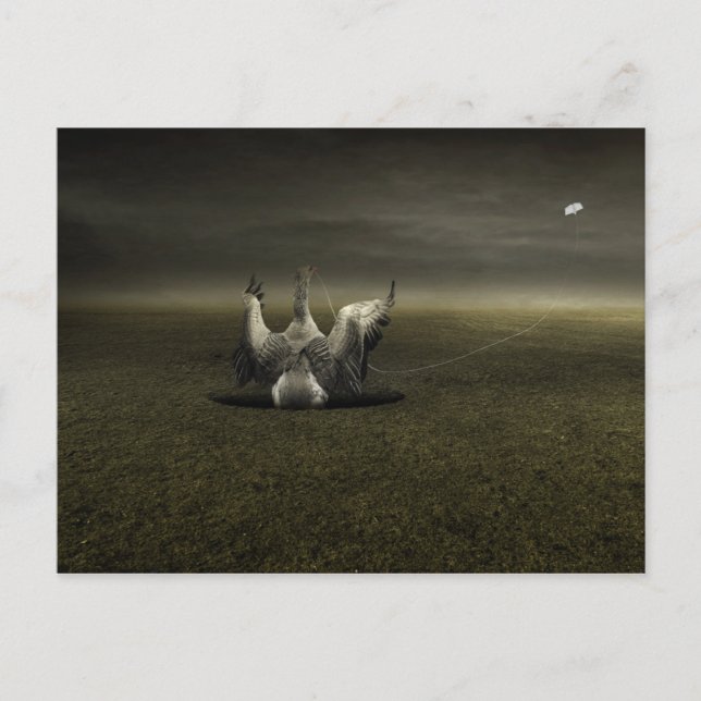 Carte Postale Aide sur le chemin 2013 (Devant)