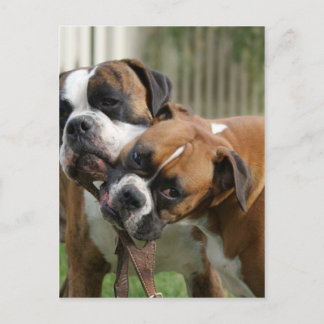 Carte Postale Aider avec le taquet