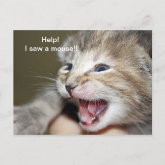 Carte Postale "Aidez-moi à voir une souris !"