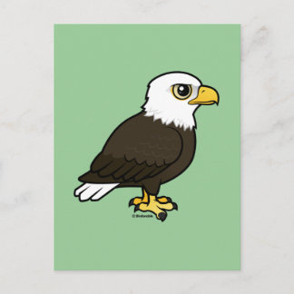 Carte Postale Aigle à tête blanche
