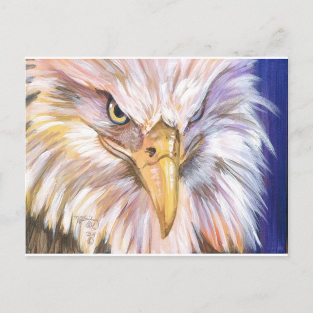 Carte Postale Aigle à tête blanche américaine (Devant)