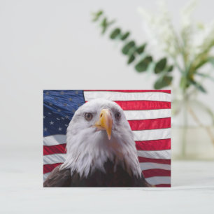 Carte Postale Aigle à tête blanche et drapeau américain
