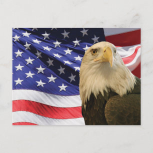 Carte Postale Aigle américain chauve et drapeau