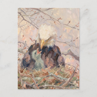 Carte Postale Aigle chauve et aiglon Art de la nature Message pe