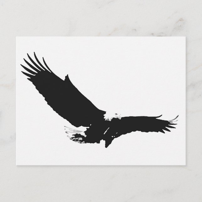 Carte Postale Aigle d'atterrissage noir et blanc (Devant)