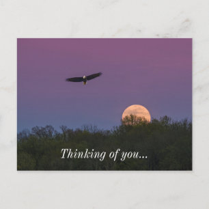 Carte Postale Aigle De Superlune Rose Qui Pense À Vous