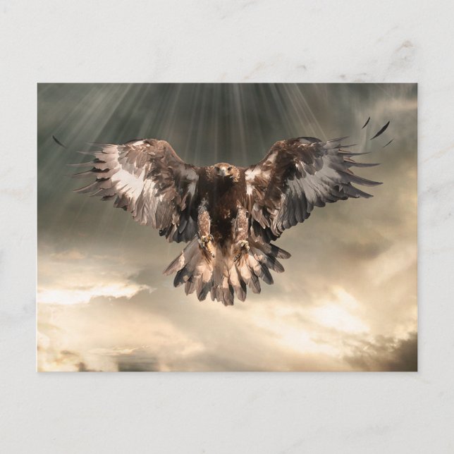 Carte Postale Aigle d'or (Devant)