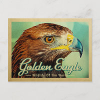 Carte postale Aigle d'or - Faune du monde Oiseau