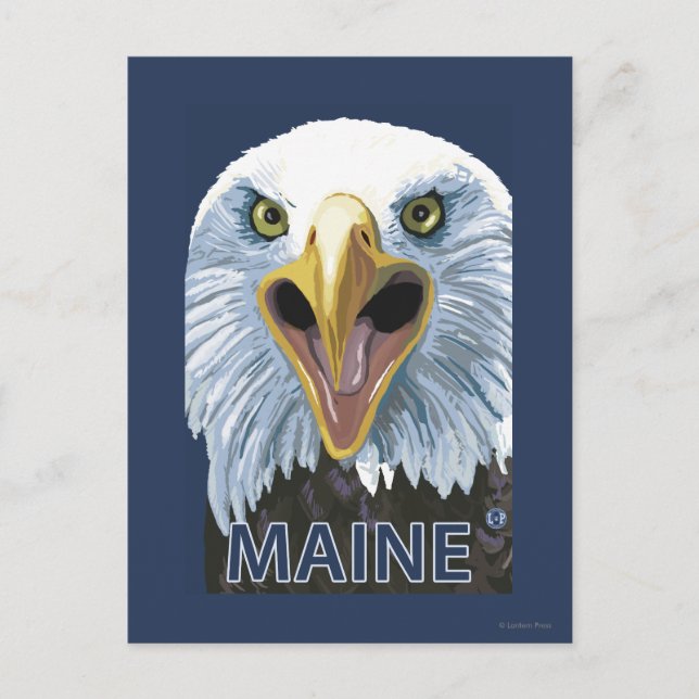 Carte Postale Aigle du Maine vers le haut (Devant)