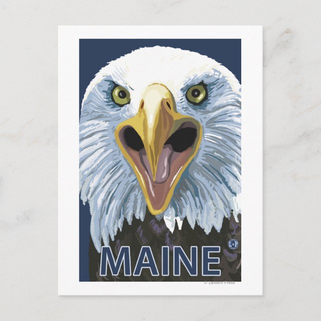 Carte Postale Aigle du Maine vers le haut (Devant)