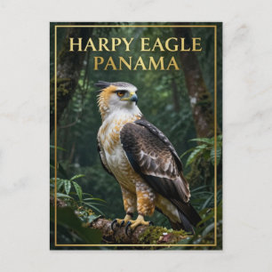 Carte Postale 🦅 Aigle Harpie Oiseau de la Forêt Tropicale de Pa